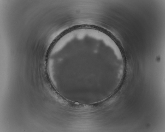 X0000112530879200909071355