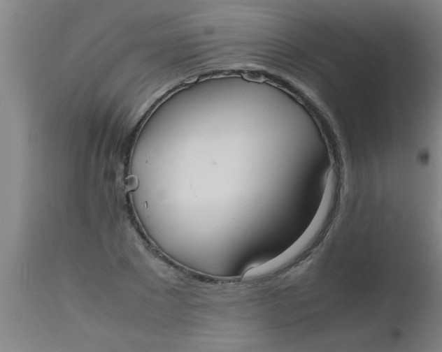 X0000112530881200909071355