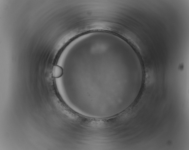 X0000112530882200909071355