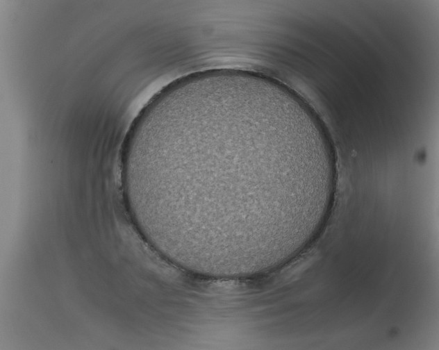 X0000112530883200909071355