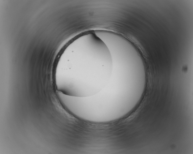 X0000112530884200909071355