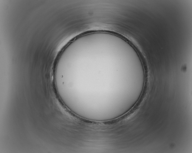 X0000112530885200909071355