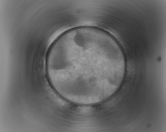 X0000112530886200909071355