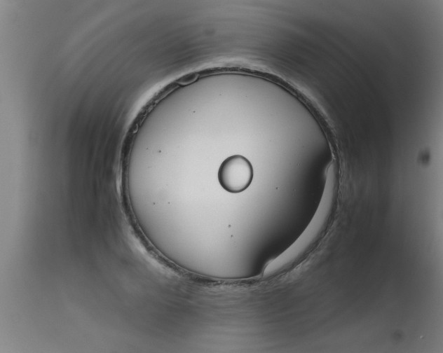 X0000112530888200909071355