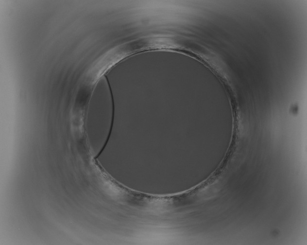 X0000112530889200909071355