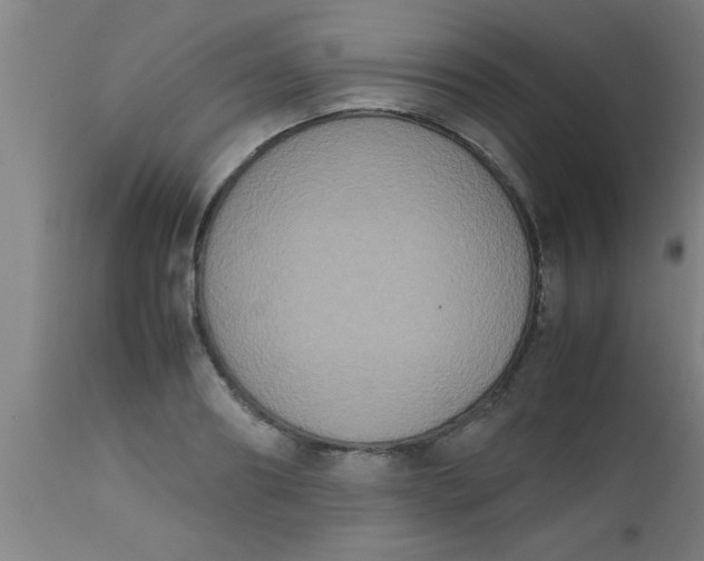 X0000112530890200909071355