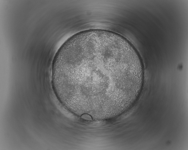 X0000112530891200909071355