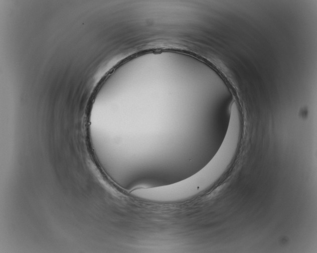 X0000112530893200909071355