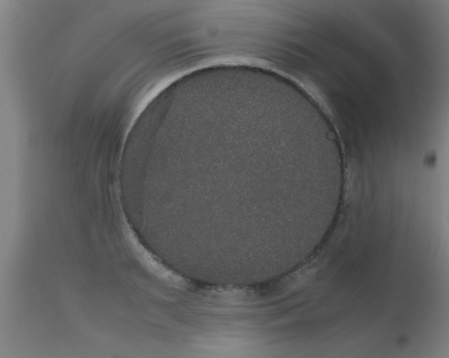 X0000112530895200909071355