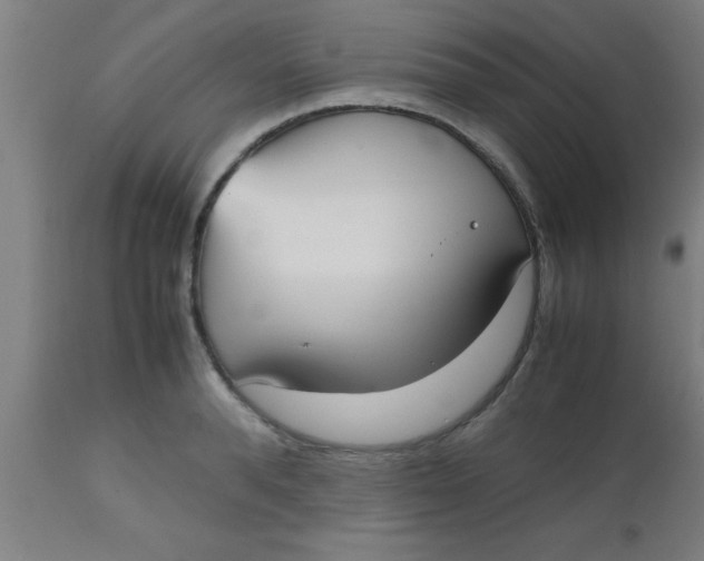 X0000112530896200909071354