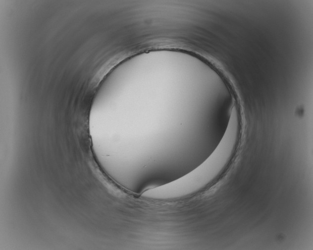 X0000112530897200909071354