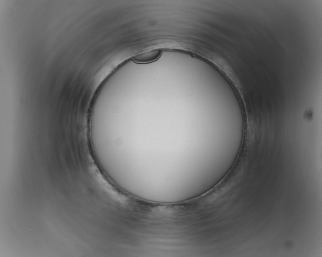 X0000112530898200909071354