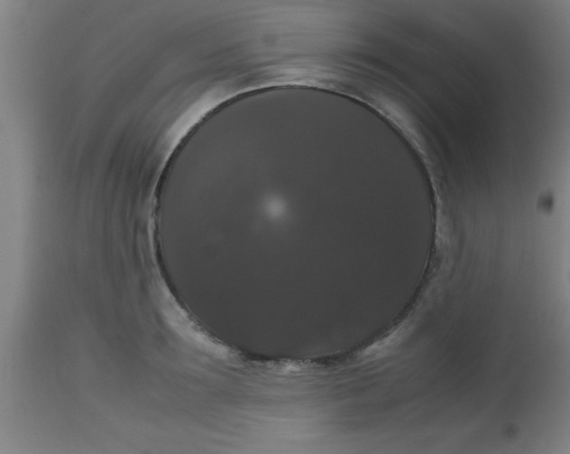 X0000112530899200909071354