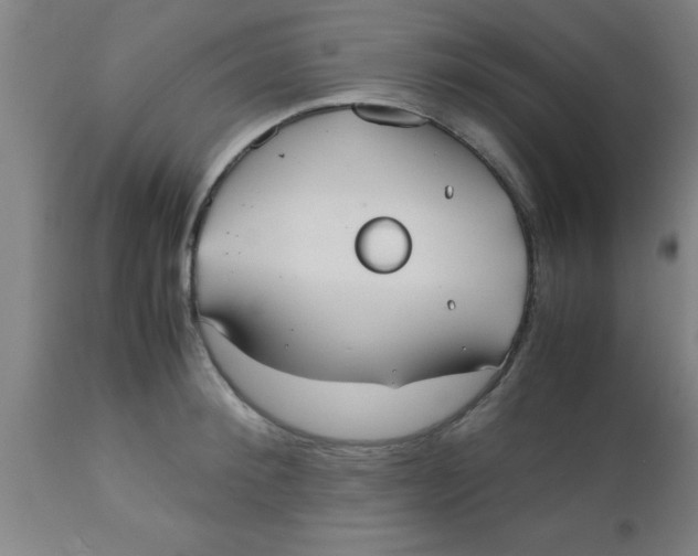 X0000112530900200909071354