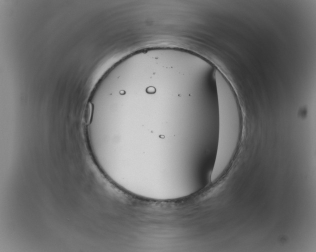 X0000112530901200909071354