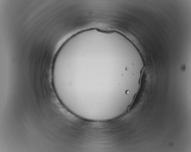 X0000112530904200909071354