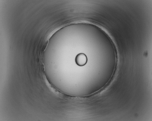 X0000112530905200909071354