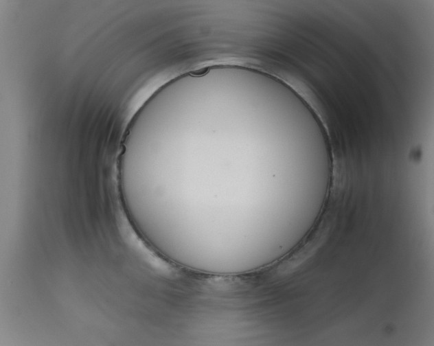 X0000112530906200909071354