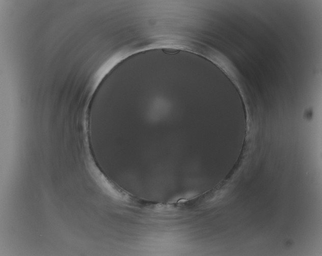 X0000112530907200909071354