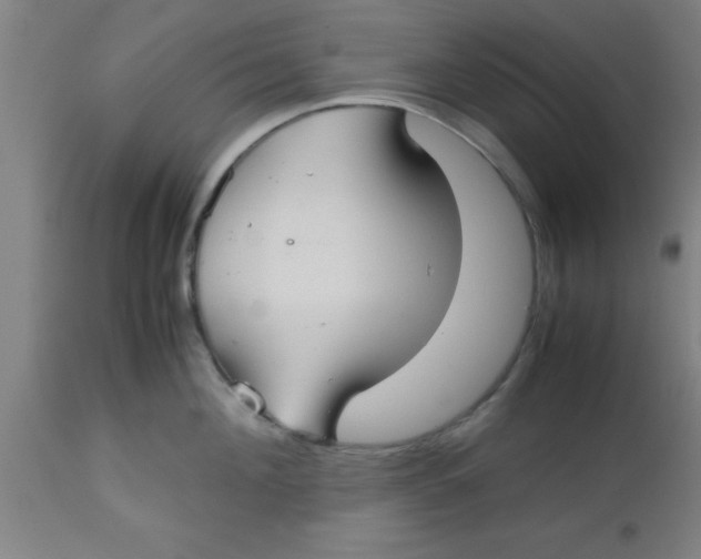 X0000112530908200909071354