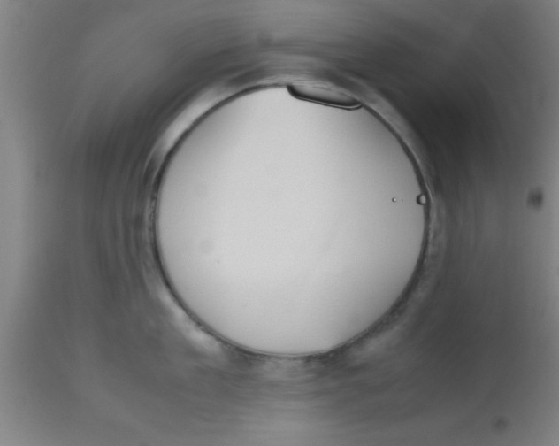 X0000112530909200909071354