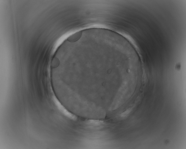 X0000112530910200909071354