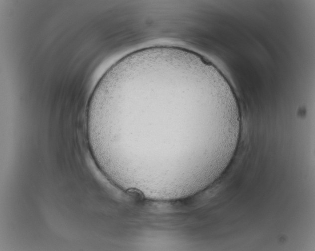 X0000112530911200909071354