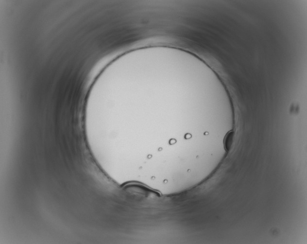 X0000112530912200909071354