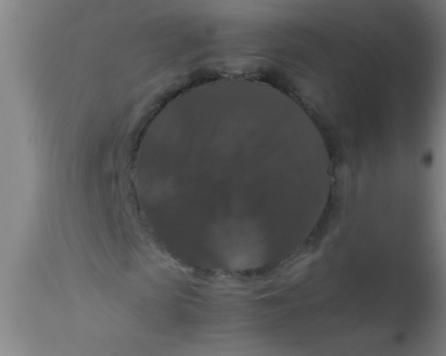 X0000112530913200909071354