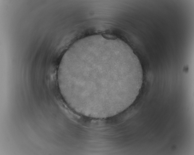 X0000112530914200909071354