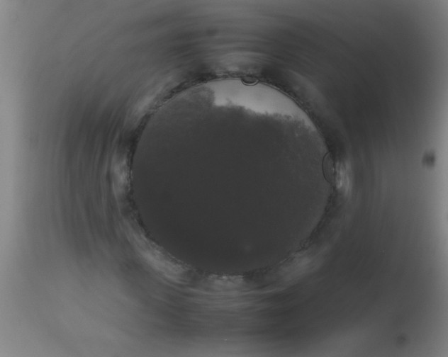 X0000112530915200909071354