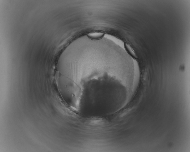 X0000112530916200909071354