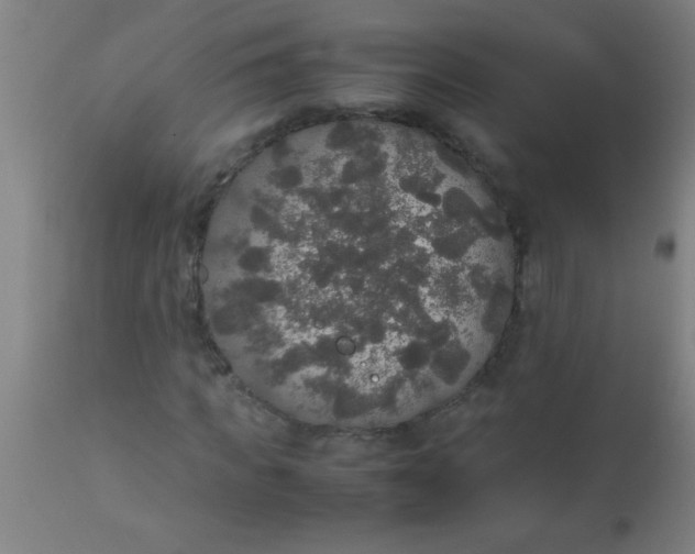 X0000112530917200909071354