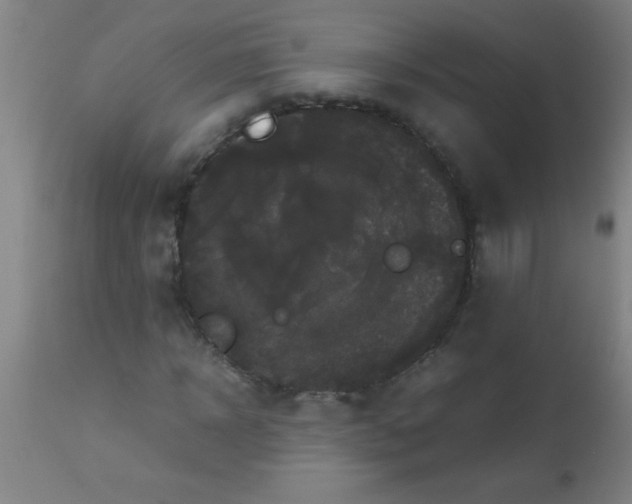 X0000112530918200909071354