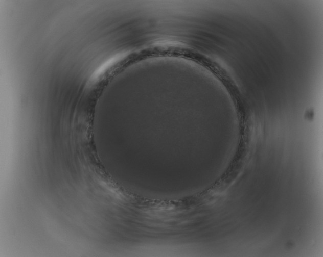 X0000112530919200909071354