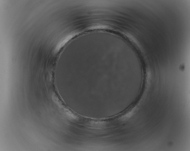 X0000112530921200909071354