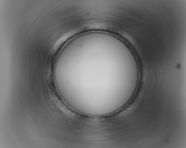 X0000112530922200909071354