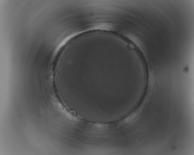 X0000112530923200909071354