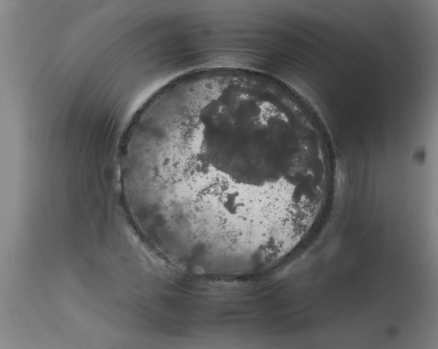 X0000112530925200909071354