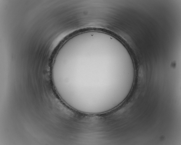 X0000112530926200909071354