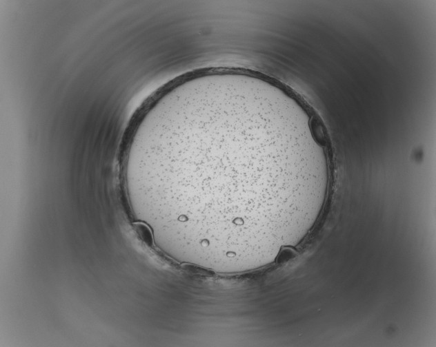 X0000112530928200909071354