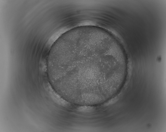 X0000112530929200909071354