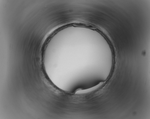 X0000112530931200909071354