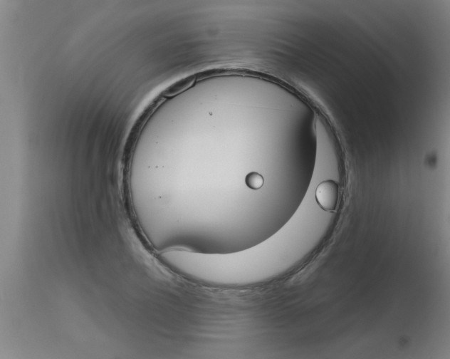 X0000112530932200909071354