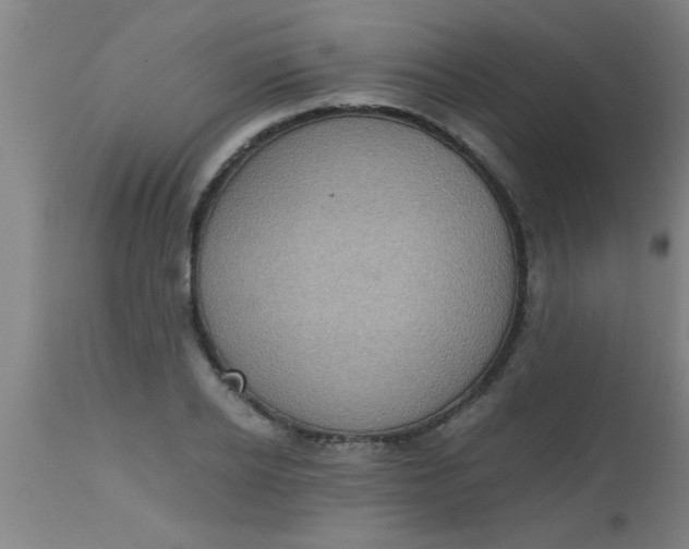 X0000112530934200909071354