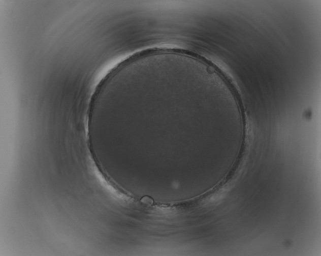 X0000112530935200909071354