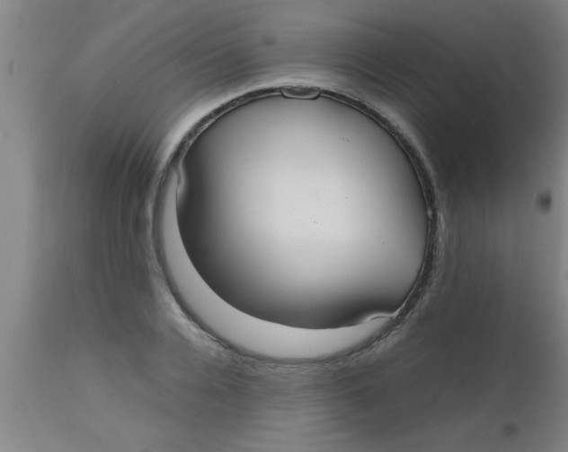 X0000112530936200909071354