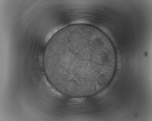 X0000112530937200909071354