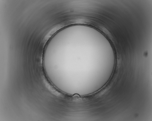 X0000112530938200909071354