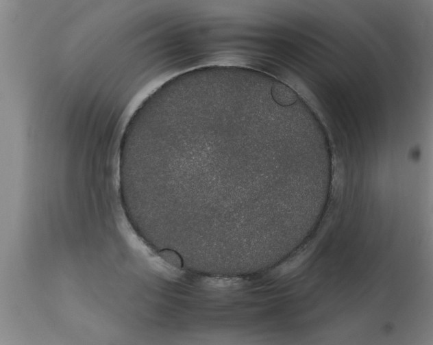 X0000112530939200909071354